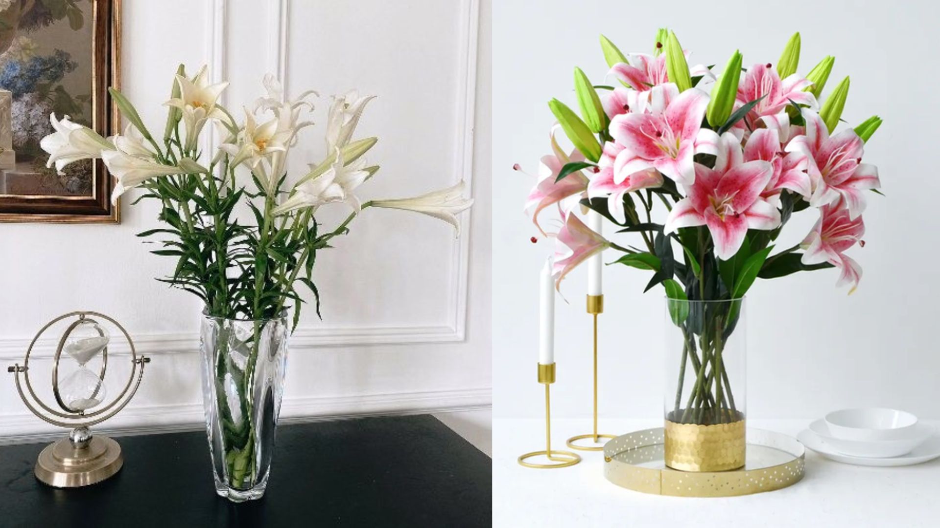 Cách Chăm Sóc Hoa Bách Hợp